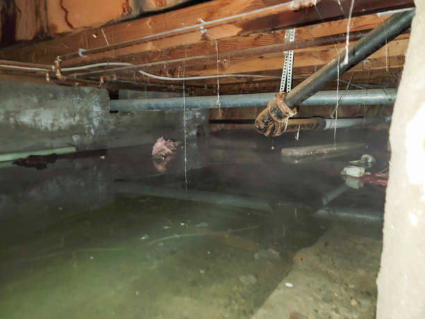 Best Basement water damage restoration  in West Kennebunk, ME
