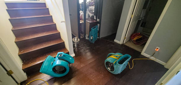 Best Ceiling water damage repair  in West Kennebunk, ME