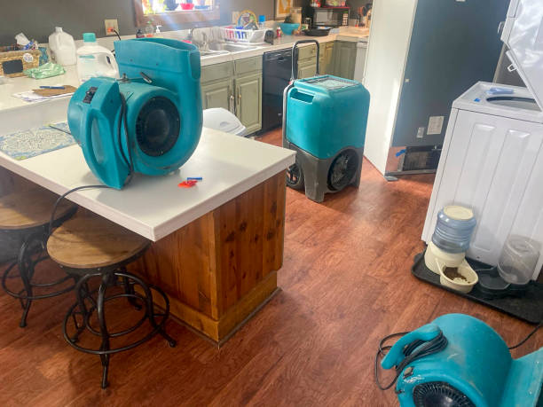 Best Sewage cleanup and water damage restoration  in West Kennebunk, ME
